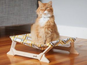 7 Beautiful cat accessories for the cat lovers