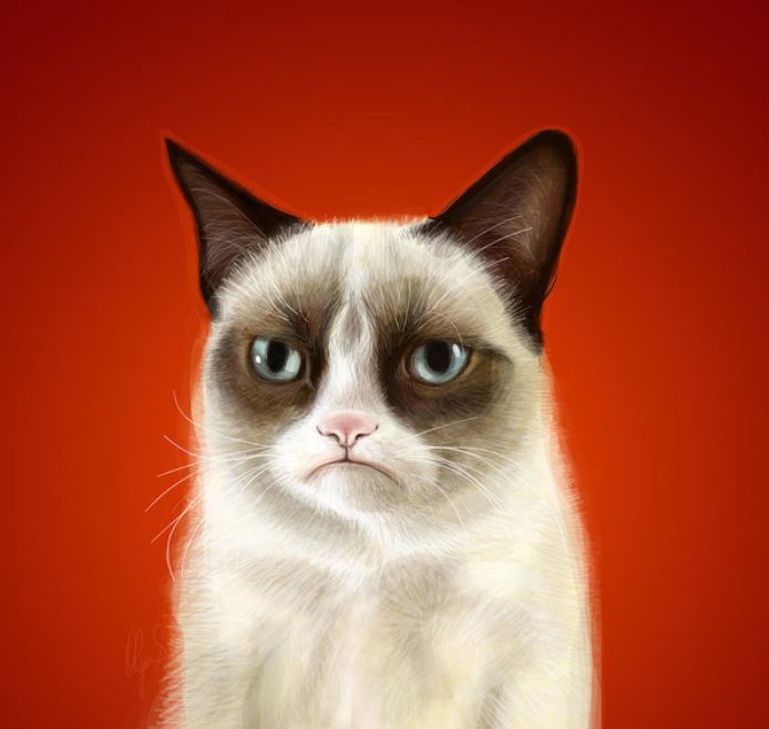 grumpy cat print fine art